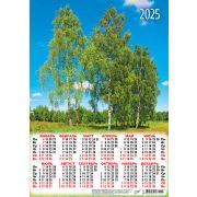 Календарь А3 2025 Природа. Нарядные берёзки ПМ-25-131